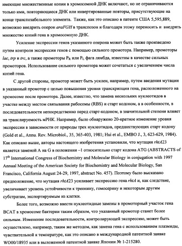 Способ получения l-треонина с использованием бактерии, принадлежащей к роду escherichia (патент 2338783)