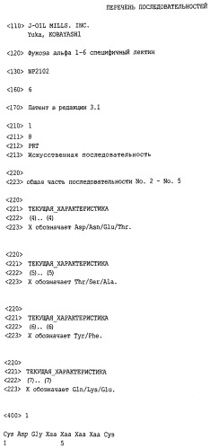 L-фукоза α1→6 специфичный лектин (патент 2524425)