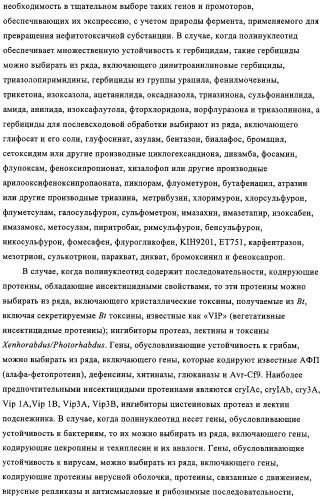Способ избирательного получения растений с мужской или женской стерильностью (патент 2320722)