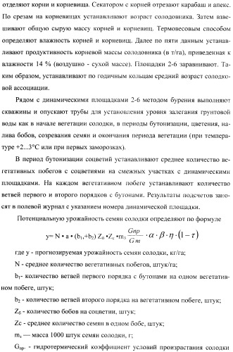 Способ прогнозирования семенной продуктивности солодки (патент 2364078)