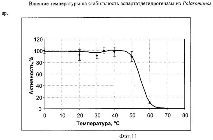 Бактерия семейства enterobacteriaceae - продуцент l-аспарагиновой кислоты или метаболитов, производных l-аспарагиновой кислоты, и способ получения l-аспарагиновой кислоты или метаблитов, производных l-аспарагиновой кислоты (патент 2472853)