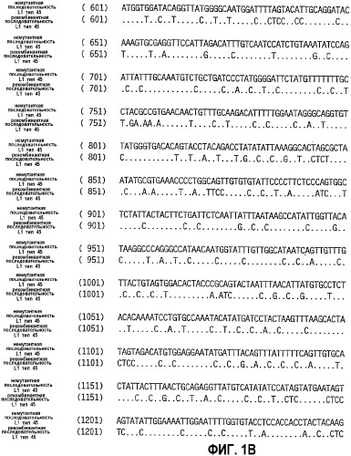 Оптимизированная экспрессия l1 hpv45 в дрожжах (патент 2360001)