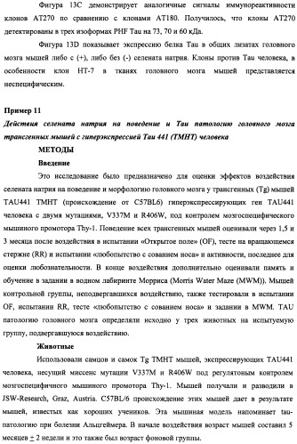 Лечение нейродегенеративных заболеваний (патент 2489155)