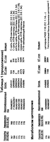 Гены corynebacterium glutamicum, кодирующие белки, участвующие в метаболизме углерода и продуцировании энергии (патент 2310686)