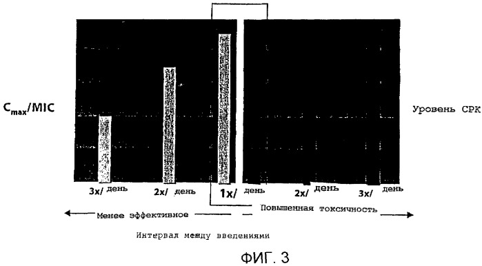Способ применения антибиотиков (патент 2363489)