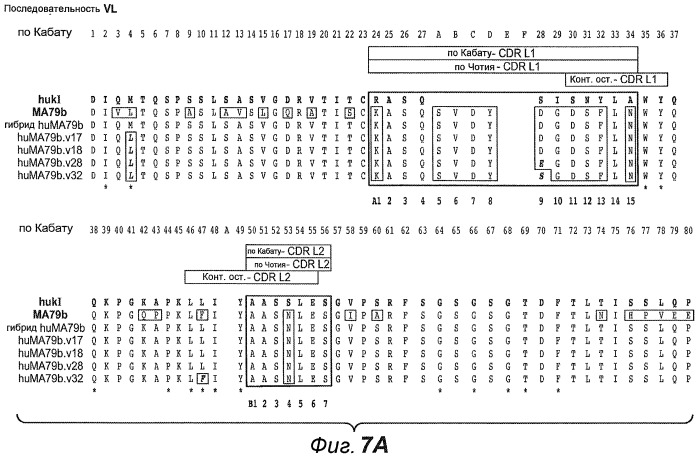 Анти-cd79b антитела и иммуноконъюгаты и способы их применения (патент 2511410)