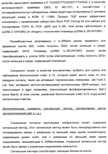 Соединение, предназначенное для стимуляции пути передачи сигнала через il-15rбета/гамма, с целью индуцировать и/или стимулировать активацию и/или пролиферацию il-15rбета/гамма-положительных клеток, таких как nk-и/или t-клетки, нуклеиновая кислота, кодирующая соединение, вектор экспрессии, клетка-хозяин, адъювант для иммунотерапевтической композиции, фармацевтическая композиция и лекарственное средство для лечения состояния или заболевания, при котором желательно повышение активности il-15, способ in vitro индукции и/или стимуляции пролиферации и/или активации il-15rбета/гамма-положительных клеток и способ получения in vitro активированных nk-и/или t-клеток (патент 2454463)