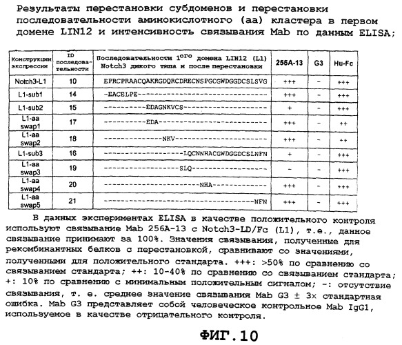 Агонистические антитела против notch3 и их применение для лечения notch3-ассоциированных заболеваний (патент 2461569)