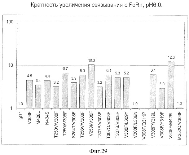 Fc-варианты с измененным связыванием с fcrn (патент 2412200)