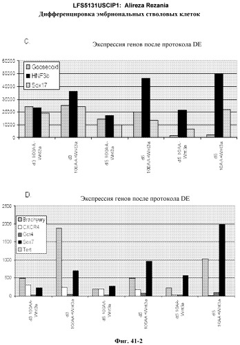 Дифференцировка эмбриональных стволовых клеток человека (патент 2465323)