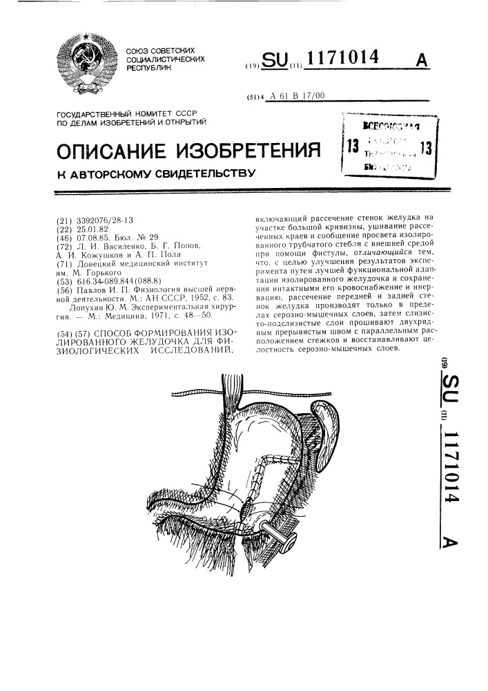 Способ формирования изолированного желудочка для физиологических исследований (патент 1171014)