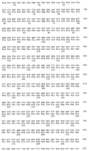 Гены grg23 и grg51, придающие устойчивость к гербицидам (патент 2393225)