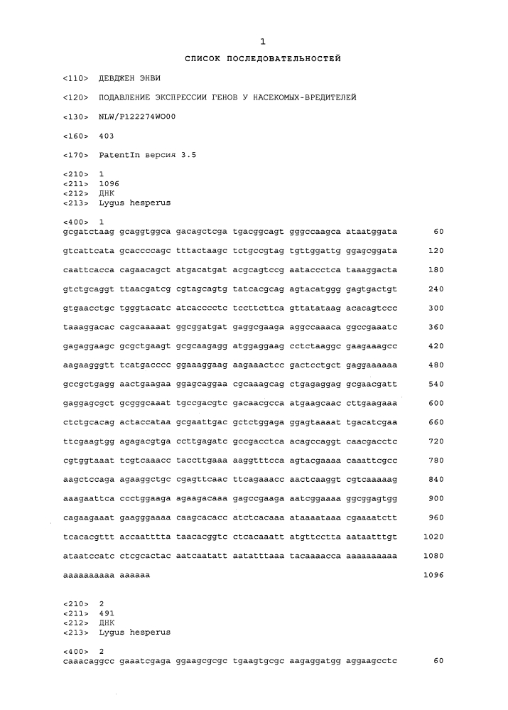 Подавление экспрессии генов у насекомых-вредителей (патент 2653752)