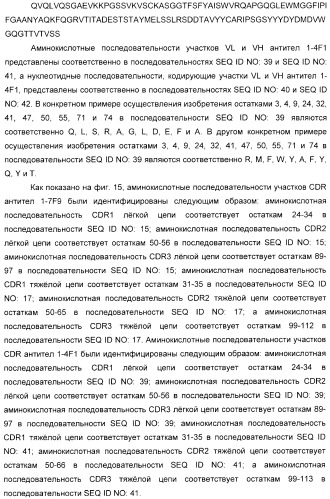 Антитела, связывающиеся с рецепторами kir2dl1,-2,-3 и не связывающиеся с рецептором kir2ds4, и их терапевтическое применение (патент 2410396)