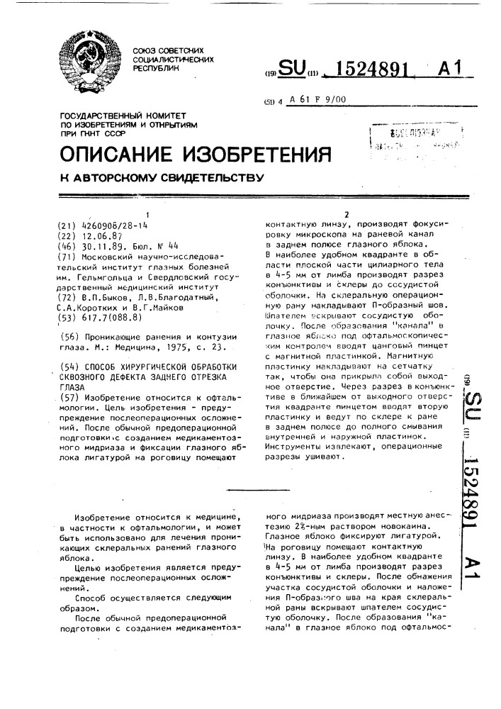 Способ хирургической обработки сквозного дефекта заднего отрезка глаза (патент 1524891)