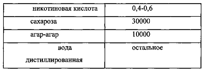 Способ получения каллусной культуры болиголова пятнистого (conium maculatum l) (патент 2590586)