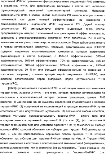 Генетически кодируемые флюоресцентные кумариновые аминокислоты (патент 2473690)