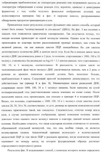 Бесконтактные способы обнаружения молекулярных колоний, наборы реагентов и устройство для их осуществления (патент 2394915)