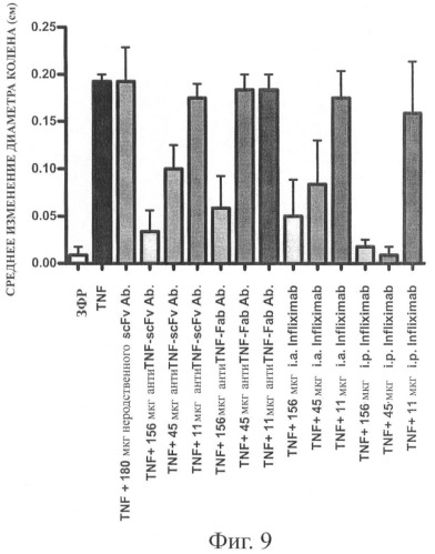 Стабильные и растворимые антитела, ингибирующие tnf  (патент 2415151)