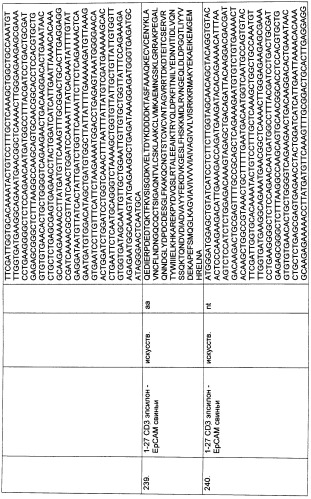 Pscaxcd3, cd19xcd3, c-metxcd3, эндосиалинxcd3, epcamxcd3, igf-1rxcd3 или fap-альфаxcd3 биспецифическое одноцепочечное антитело с межвидовой специфичностью (патент 2547600)