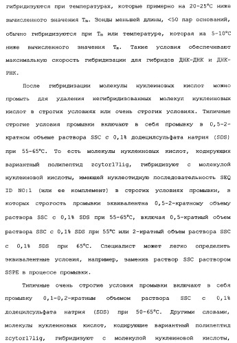 Новый лиганд рецептора цитокина zcytor17 (патент 2360923)