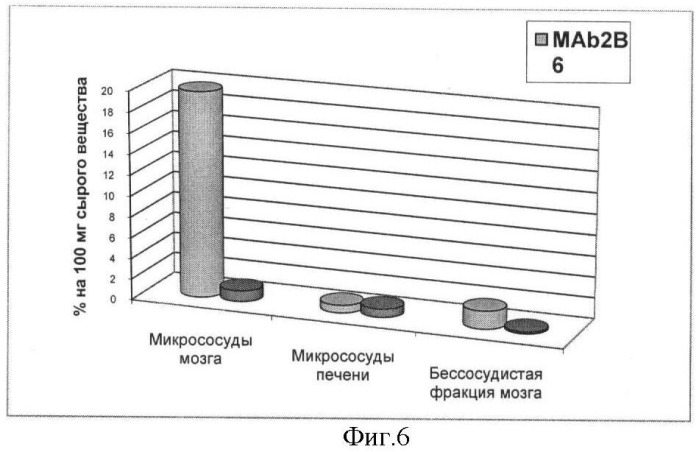 Способ получения моноклональных антител к аблюминальному мембранному антигену церебральных эндотелиоцитов (патент 2439160)