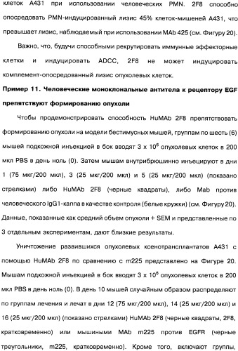 Человеческие моноклональные антитела к рецептору эпидермального фактора роста (egfr), способ их получения и их использование, гибридома, трансфектома, трансгенное животное, экспрессионный вектор (патент 2335507)