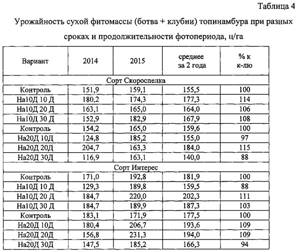 Способ увеличения продуктивности топинамбура (патент 2619306)