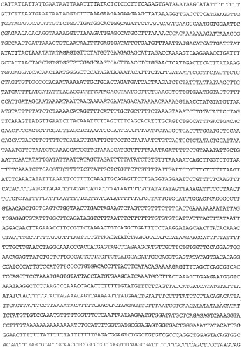 Применение s1p (патент 2362565)