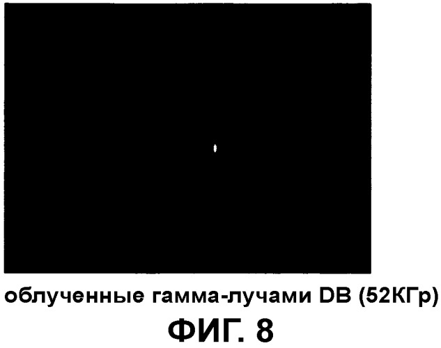 Композиция, содержащая частицы hcmv (патент 2505314)