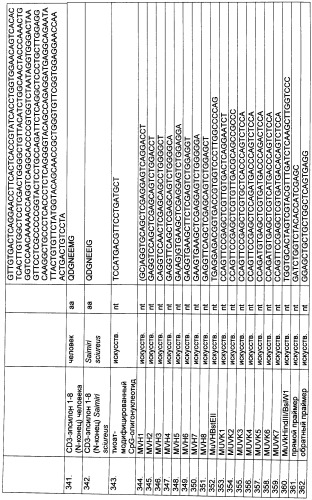 Pscaxcd3, cd19xcd3, c-metxcd3, эндосиалинxcd3, epcamxcd3, igf-1rxcd3 или fap-альфаxcd3 биспецифическое одноцепочечное антитело с межвидовой специфичностью (патент 2547600)