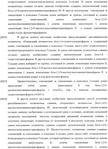 Конструкции слияния и их применение для получения антител с повышенными аффинностью связывания fc-рецептора и эффекторной функцией (патент 2407796)