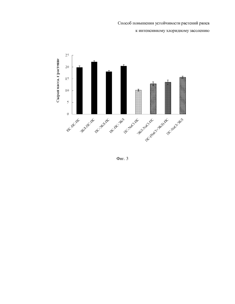 Способ повышения устойчивости растений рапса к интенсивному хлоридному засолению (патент 2603091)