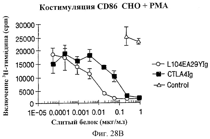 Способы лечения ревматических заболеваний с применением растворимого ctla4 (патент 2287340)