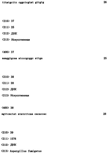 Ген синтеза клеточной стенки грибков (патент 2286387)