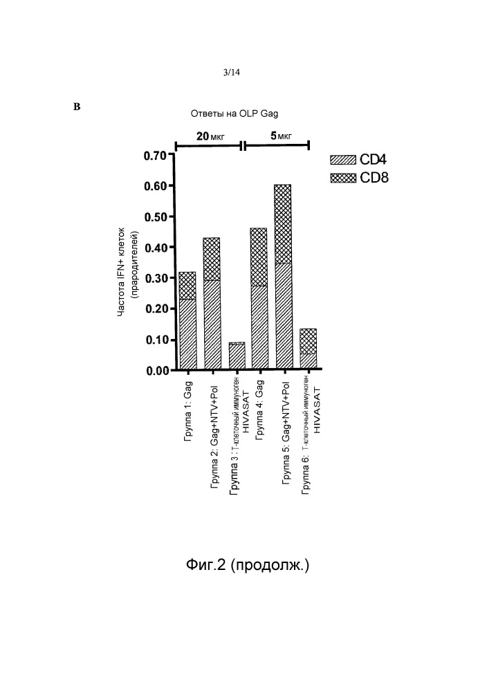 Иммуногены для вакцинации против вич (патент 2648791)