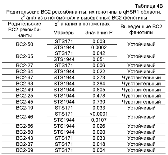 Генетические локусы, связанные с устойчивостью к пыльной головне у маиса (патент 2562864)