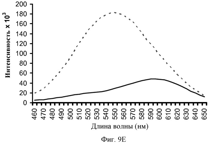 Агенты, связывающиеся с амилоидами (патент 2517174)