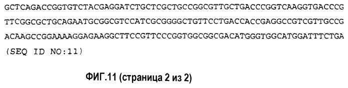 Композиции на основе белка вируса гепатита в и стрессового белка и их применение (патент 2295536)