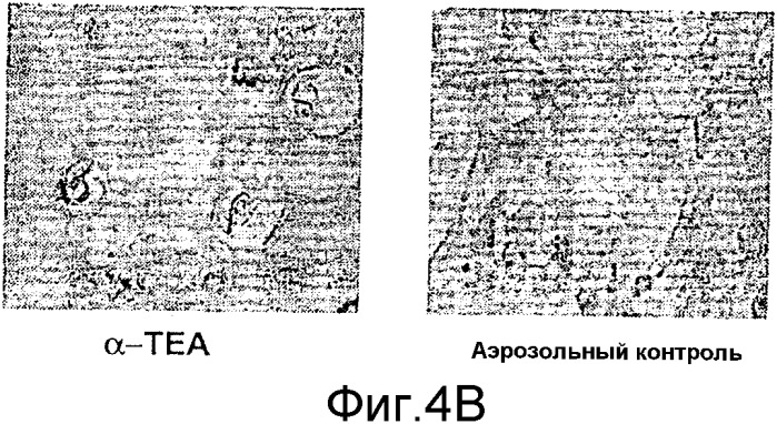 Липосомальная доставка соединений, основанных на витамине е (патент 2328273)