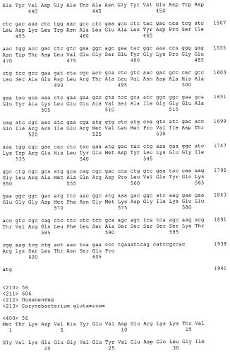 Гены corynebacterium glutamicum, кодирующие белки резистентности и толерантности к стрессам (патент 2303635)