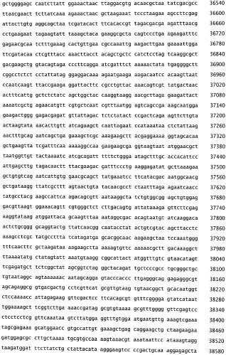 Бактериофаг, обладающий активностью против pseudomonas aeruginosa, белки бактериофага и способы их применения (патент 2580248)