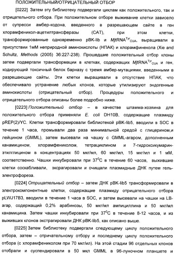 Генетически кодируемые флюоресцентные кумариновые аминокислоты (патент 2473690)