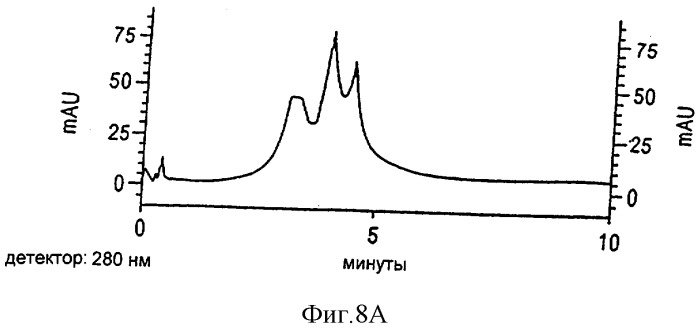 Способ и устройство для получения фикоэритрина с высокой оптической плотностью (патент 2315094)