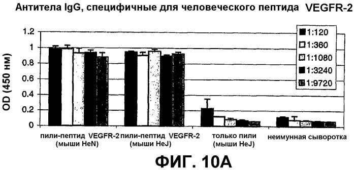 Композиция и способ для иммунизации, способ продуцирования неприродного упорядоченного и повторяющегося массива антигенов (патент 2438701)