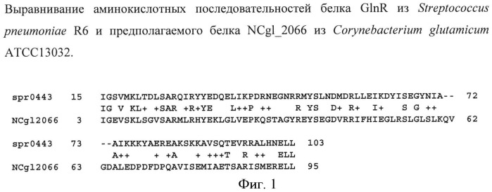 Способ получения l-аминокислоты семейства глутамата с использованием коринеформной бактерии (патент 2496867)