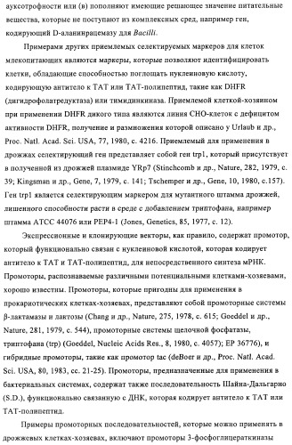 Композиции и способы диагностики и лечения опухоли (патент 2430112)