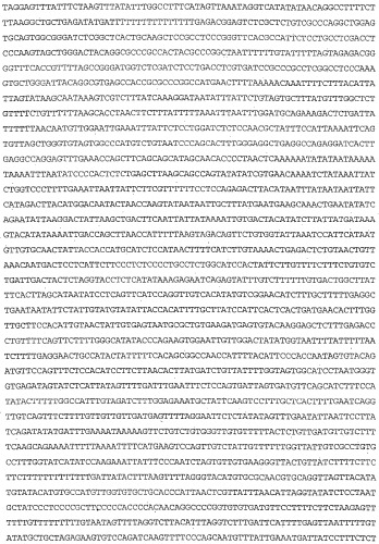 Применение s1p (патент 2362565)