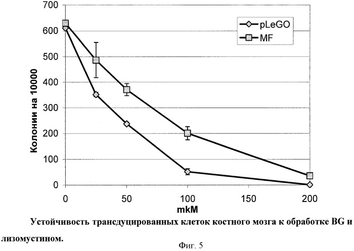 Способ селекции клеток in vivo с помощью лизомустина (патент 2425149)