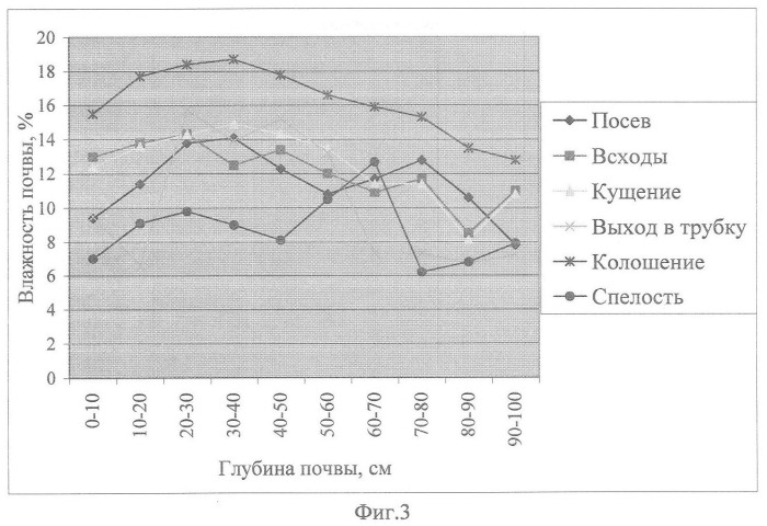 Способ возделывания яровой пшеницы предпочтительно в зоне светло-каштановых почв нижнего поволжья (варианты) (патент 2348137)